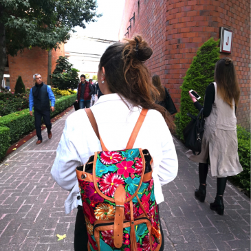 UrbanMexa: La Mexa Backpack.